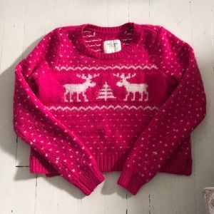 Abercrombie and Fitch Women’s Holiday Sweater